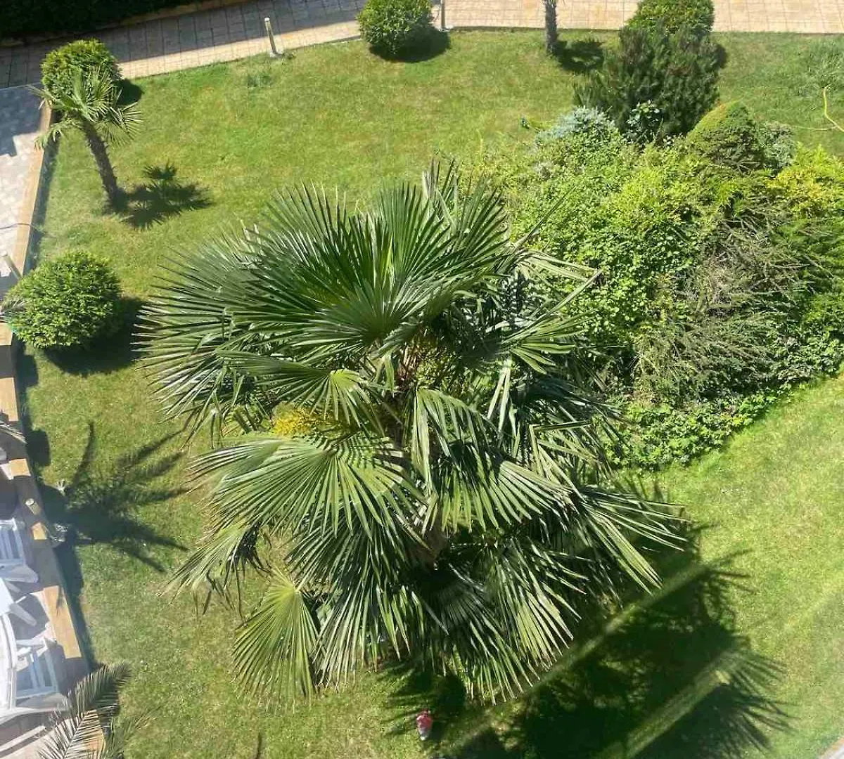 Apartment Apart Hotel Gallery Studio Sunny Beach